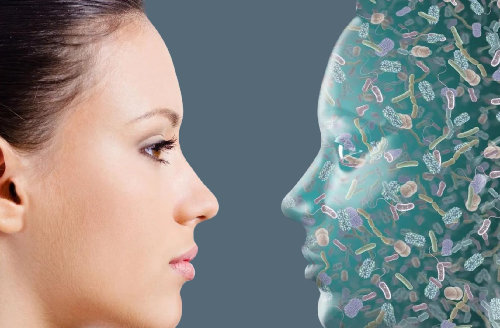 Un Mundo Microscópico en tu Piel: La Importancia de la Microbiota Cutánea
